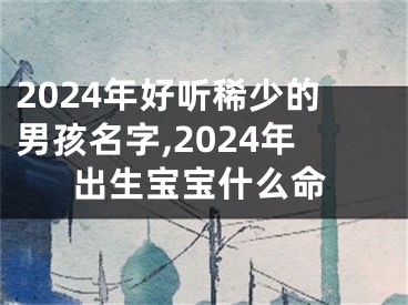 2024年好听稀少的男孩名字,2024年出生宝宝什么命