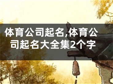 体育公司起名,体育公司起名大全集2个字