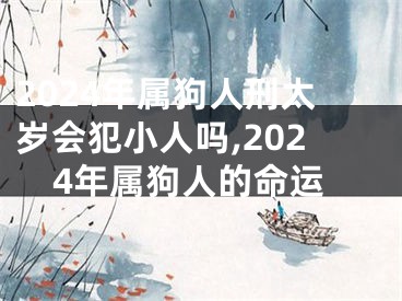 2024年属狗人刑太岁会犯小人吗,2024年属狗人的命运