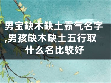 男宝缺木缺土霸气名字,男孩缺木缺土五行取什么名比较好