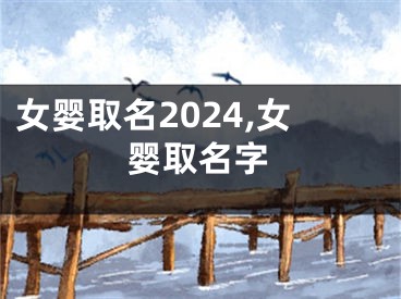女婴取名2024,女婴取名字