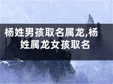 杨姓男孩取名属龙,杨姓属龙女孩取名