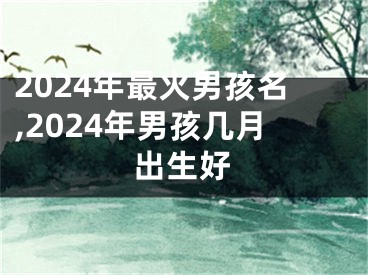 2024年最火男孩名,2024年男孩几月出生好