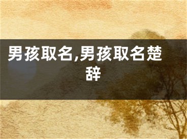 男孩取名,男孩取名楚辞