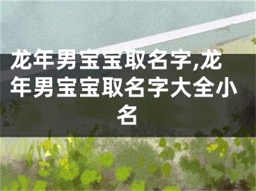龙年男宝宝取名字,龙年男宝宝取名字大全小名