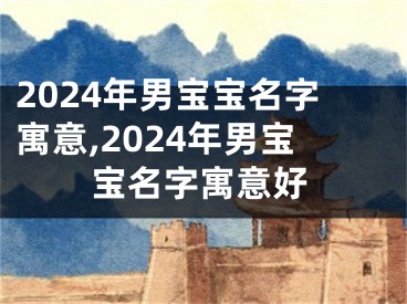 2024年男宝宝名字寓意,2024年男宝宝名字寓意好