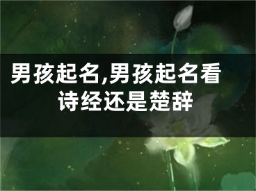 男孩起名,男孩起名看诗经还是楚辞