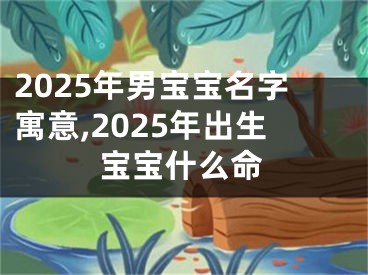 2025年男宝宝名字寓意,2025年出生宝宝什么命