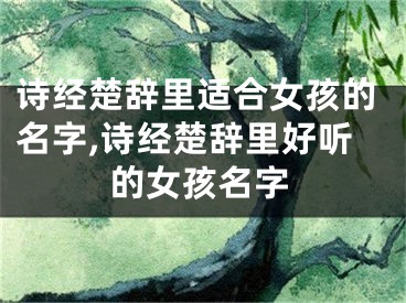 诗经楚辞里适合女孩的名字,诗经楚辞里好听的女孩名字