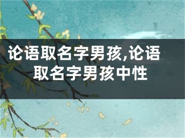 论语取名字男孩,论语取名字男孩中性