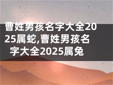 曹姓男孩名字大全2025属蛇,曹姓男孩名字大全2025属兔