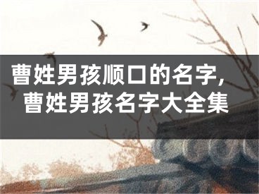 曹姓男孩顺口的名字,曹姓男孩名字大全集