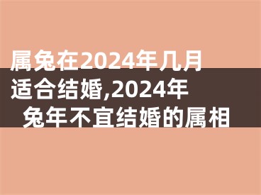 属兔在2024年几月适合结婚,2024年兔年不宜结婚的属相