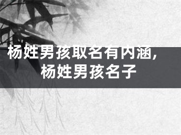 杨姓男孩取名有内涵,杨姓男孩名子
