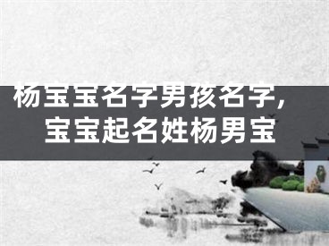 杨宝宝名字男孩名字,宝宝起名姓杨男宝