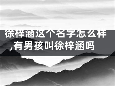 徐梓涵这个名字怎么样,有男孩叫徐梓涵吗