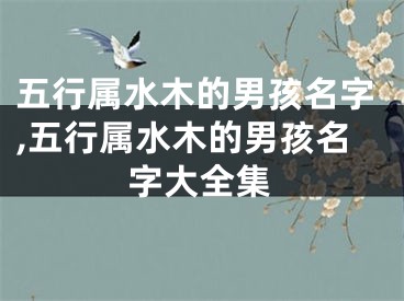 五行属水木的男孩名字,五行属水木的男孩名字大全集