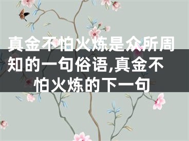 真金不怕火炼是众所周知的一句俗语,真金不怕火炼的下一句