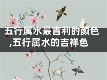 五行属水最吉利的颜色,五行属水的吉祥色