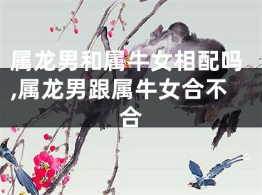 属龙男和属牛女相配吗,属龙男跟属牛女合不合