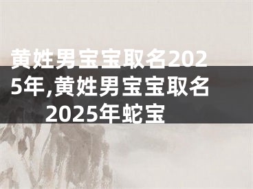 黄姓男宝宝取名2025年,黄姓男宝宝取名2025年蛇宝