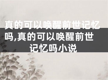 真的可以唤醒前世记忆吗,真的可以唤醒前世记忆吗小说