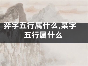 弈字五行属什么,某字五行属什么