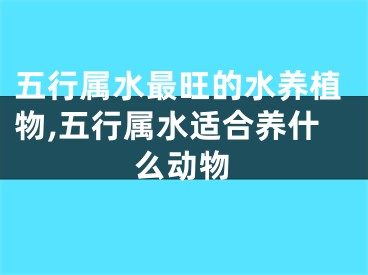 五行属水最旺的水养植物,五行属水适合养什么动物
