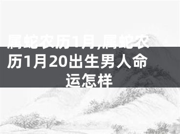 属蛇农历1月,属蛇农历1月20出生男人命运怎样