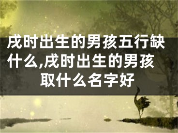 戌时出生的男孩五行缺什么,戌时出生的男孩取什么名字好