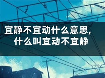 宜静不宜动什么意思,什么叫宜动不宜静