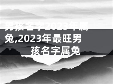 男孩名字2023年属兔,2023年最旺男孩名字属兔