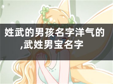 姓武的男孩名字洋气的,武姓男宝名字