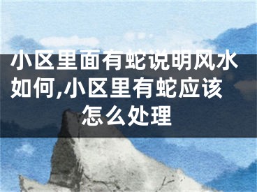 小区里面有蛇说明风水如何,小区里有蛇应该怎么处理