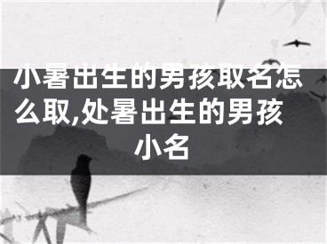 小暑出生的男孩取名怎么取,处暑出生的男孩小名