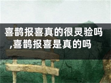 喜鹊报喜真的很灵验吗,喜鹊报喜是真的吗