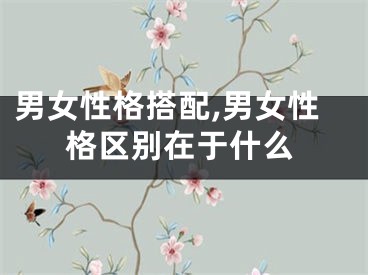 男女性格搭配,男女性格区别在于什么