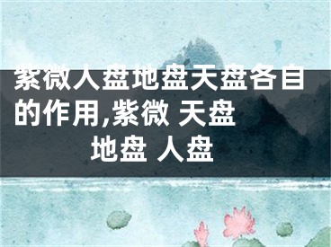 紫微人盘地盘天盘各自的作用,紫微 天盘 地盘 人盘