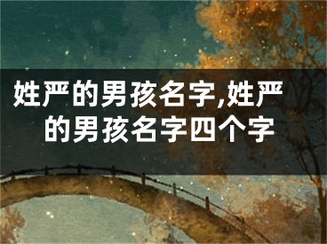 姓严的男孩名字,姓严的男孩名字四个字