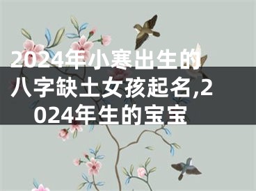 2024年小寒出生的八字缺土女孩起名,2024年生的宝宝