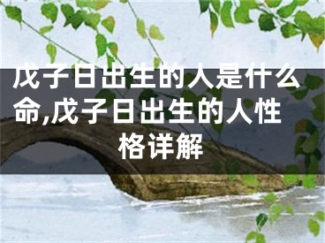 戊子日出生的人是什么命,戊子日出生的人性格详解