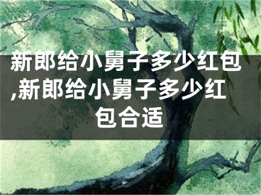 新郎给小舅子多少红包,新郎给小舅子多少红包合适