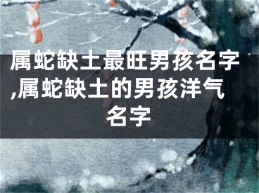 属蛇缺土最旺男孩名字,属蛇缺土的男孩洋气名字