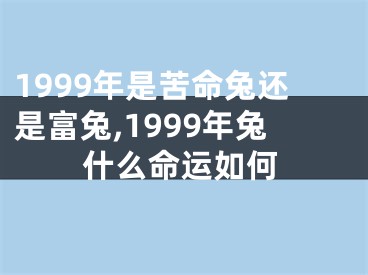 1999年是苦命兔还是富兔,1999年兔什么命运如何