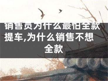 销售员为什么最怕全款提车,为什么销售不想全款