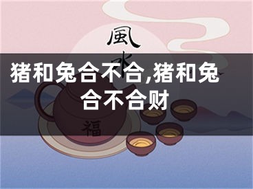 猪和兔合不合,猪和兔合不合财