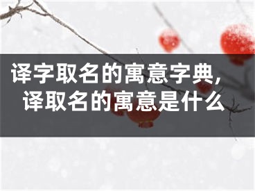 译字取名的寓意字典,译取名的寓意是什么