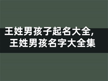 王姓男孩子起名大全,王姓男孩名字大全集
