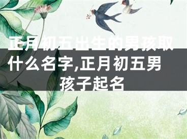 正月初五出生的男孩取什么名字,正月初五男孩子起名