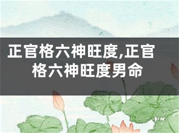 正官格六神旺度,正官格六神旺度男命